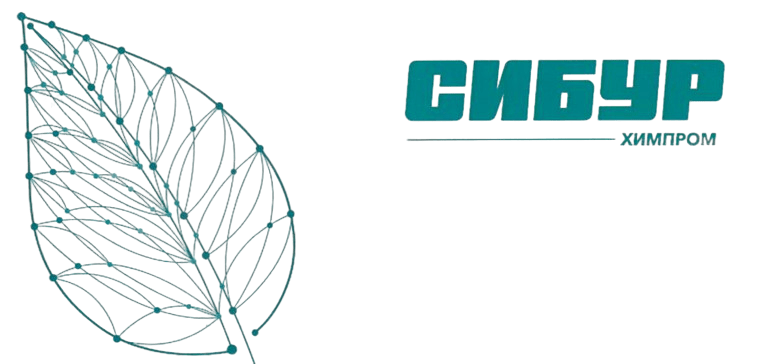 эко логотип сибур химпром